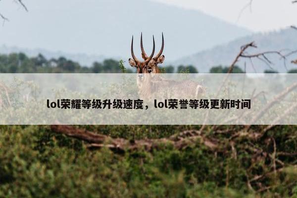 lol荣耀等级升级速度，lol荣誉等级更新时间