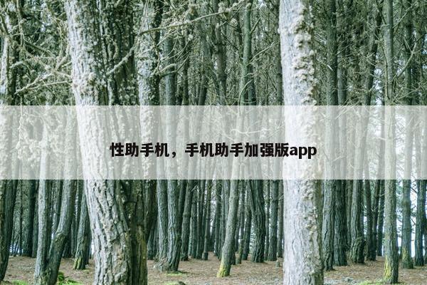 性助手机，手机助手加强版app