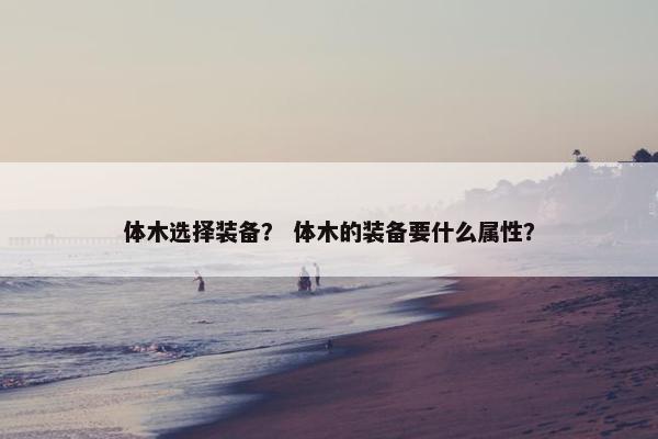 体木选择装备？ 体木的装备要什么属性？