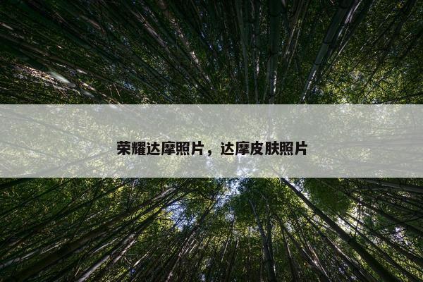 荣耀达摩照片，达摩皮肤照片