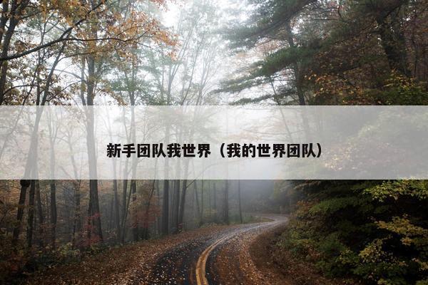 新手团队我世界（我的世界团队）