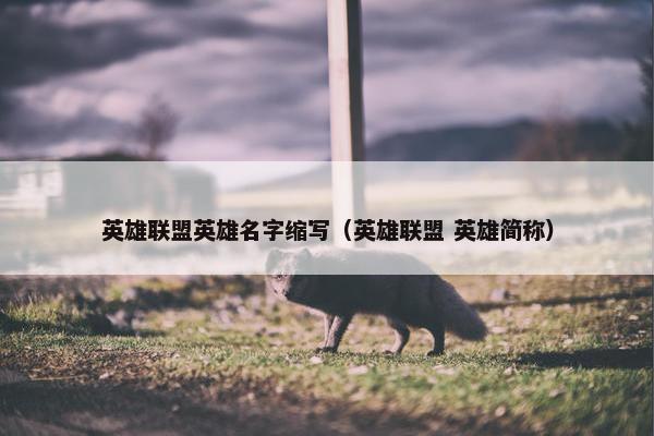 英雄联盟英雄名字缩写（英雄联盟 英雄简称）