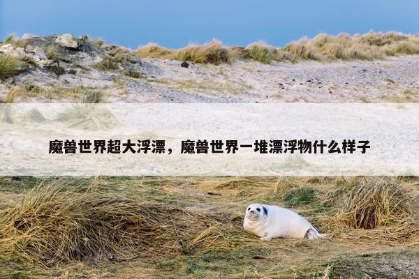 魔兽世界超大浮漂，魔兽世界一堆漂浮物什么样子