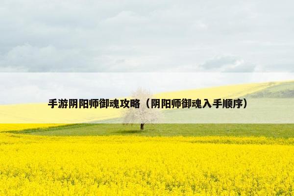 手游阴阳师御魂攻略（阴阳师御魂入手顺序）