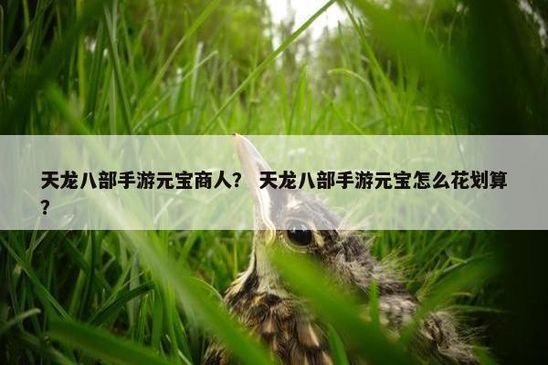 天龙八部手游元宝商人？ 天龙八部手游元宝怎么花划算？