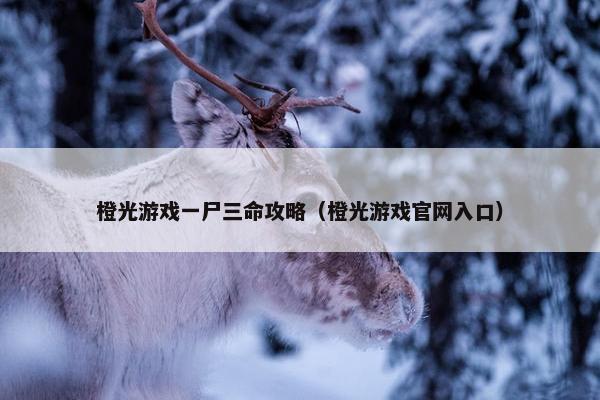 橙光游戏一尸三命攻略（橙光游戏官网入口）