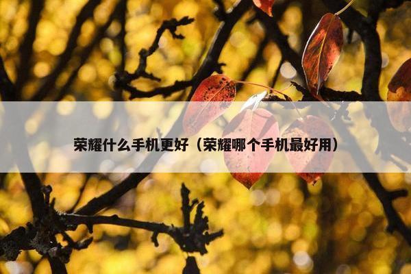 荣耀什么手机更好（荣耀哪个手机最好用）