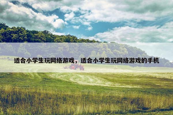 适合小学生玩网络游戏，适合小学生玩网络游戏的手机