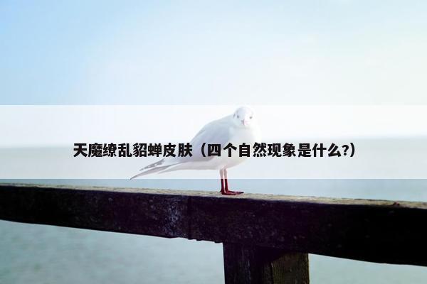 天魔缭乱貂蝉皮肤（四个自然现象是什么?）