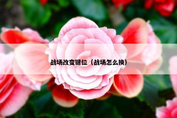 战场改变键位（战场怎么换）