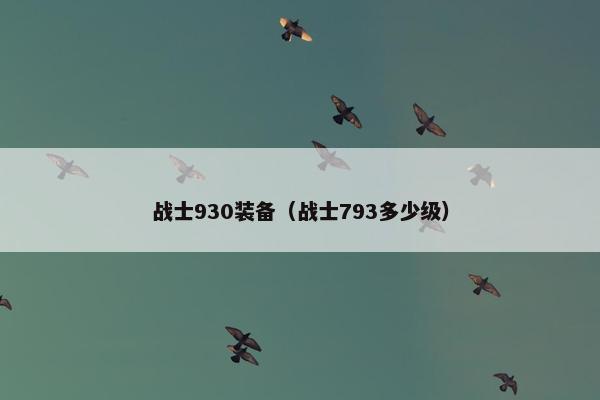 战士930装备（战士793多少级）