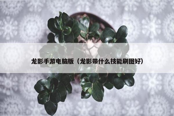 龙影手游电脑版(龙影带什么技能刷图好) 龙影手游电脑版(龙影带什么技能刷图好)