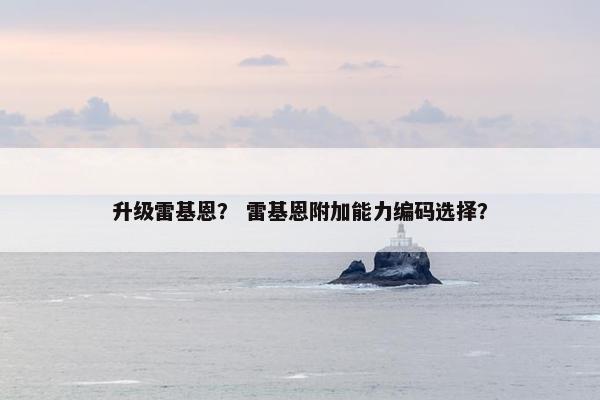 升级雷基恩？ 雷基恩附加能力编码选择？
