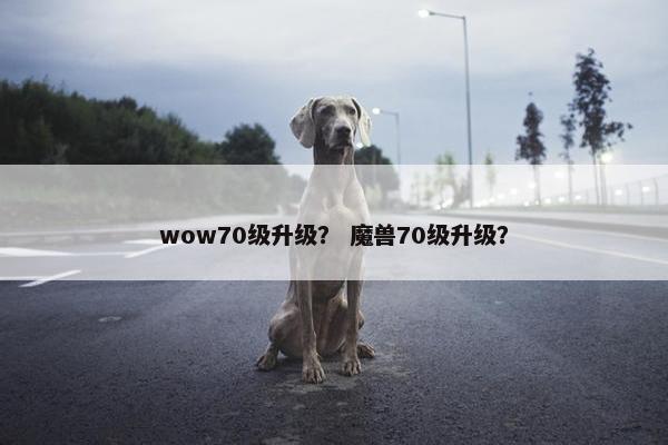 wow70级升级？ 魔兽70级升级？