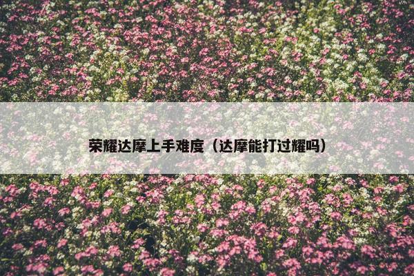 荣耀达摩上手难度（达摩能打过耀吗）