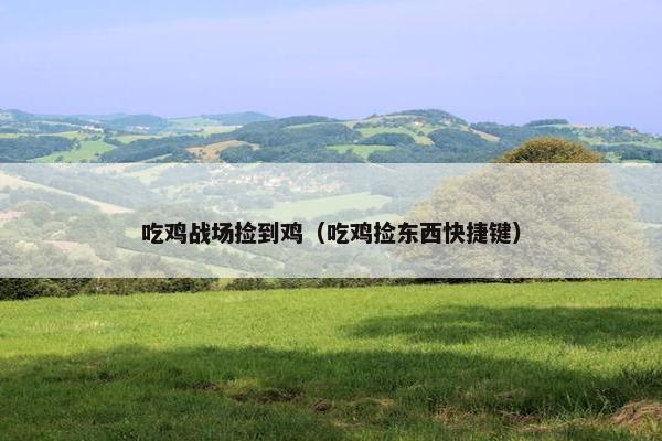 吃鸡战场捡到鸡（吃鸡捡东西快捷键）