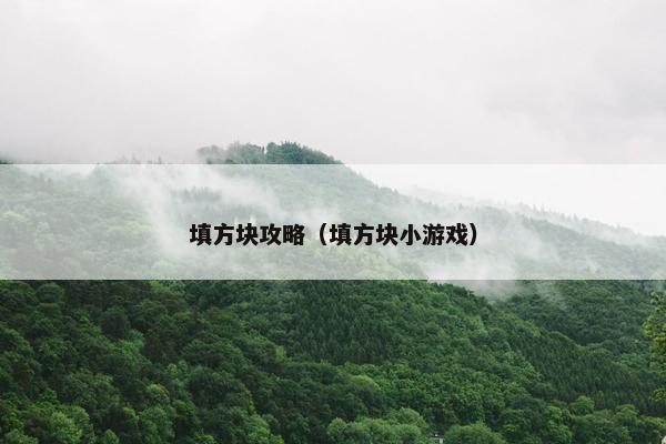 填方块攻略（填方块小游戏）