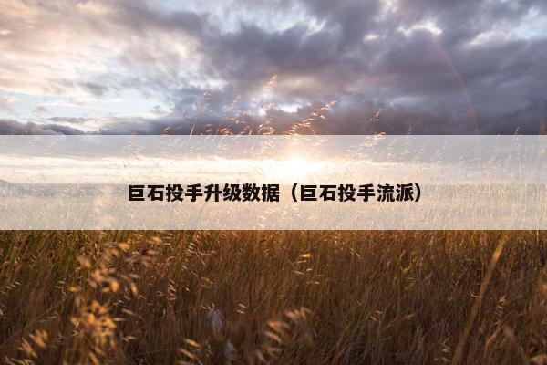 巨石投手升级数据（巨石投手流派）