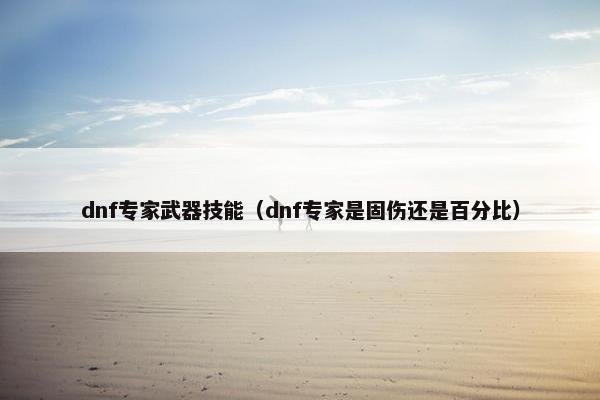 dnf专家武器技能（dnf专家是固伤还是百分比）