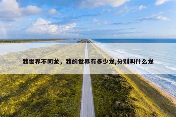 我世界不同龙，我的世界有多少龙,分别叫什么龙