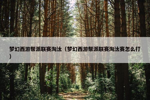 梦幻西游帮派联赛淘汰（梦幻西游帮派联赛淘汰赛怎么打）