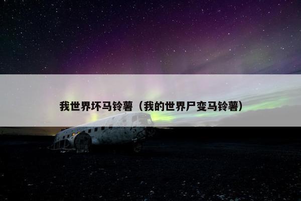 我世界坏马铃薯（我的世界尸变马铃薯）