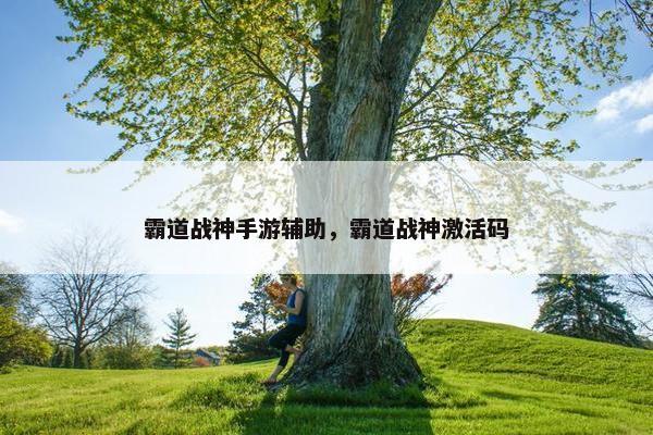 霸道战神手游辅助，霸道战神激活码
