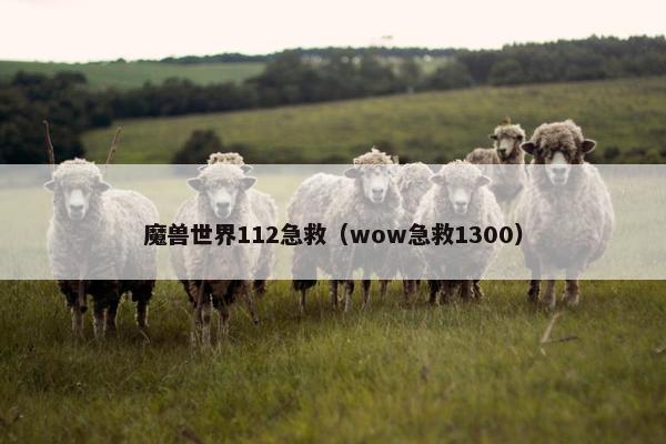 魔兽世界112急救（wow急救1300）