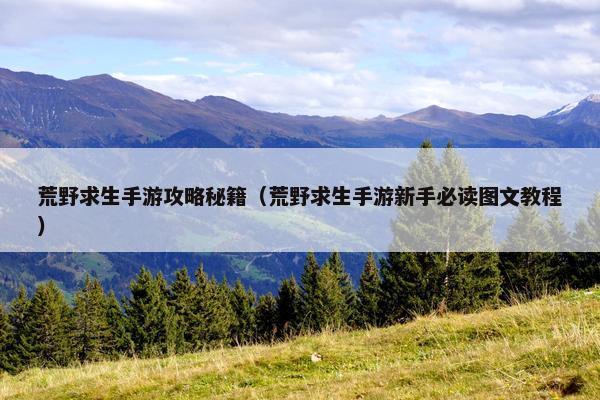 荒野求生手游攻略秘籍（荒野求生手游新手必读图文教程）
