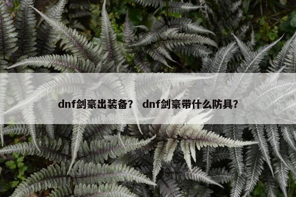 dnf剑豪出装备？ dnf剑豪带什么防具？