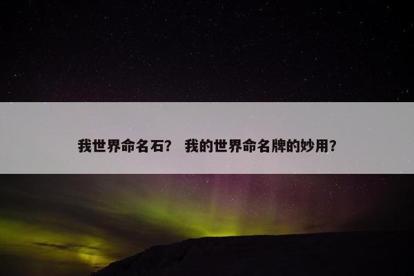 我世界命名石？ 我的世界命名牌的妙用？