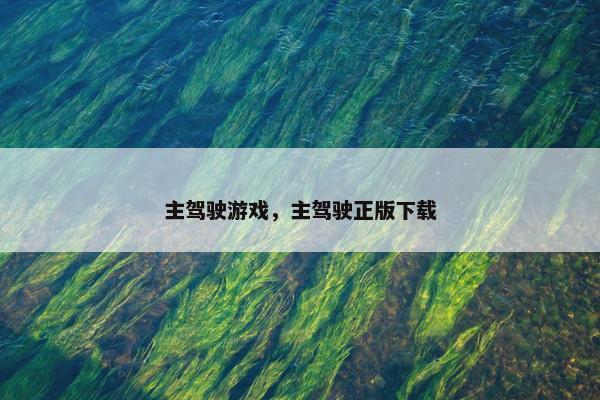 主驾驶游戏，主驾驶正版下载