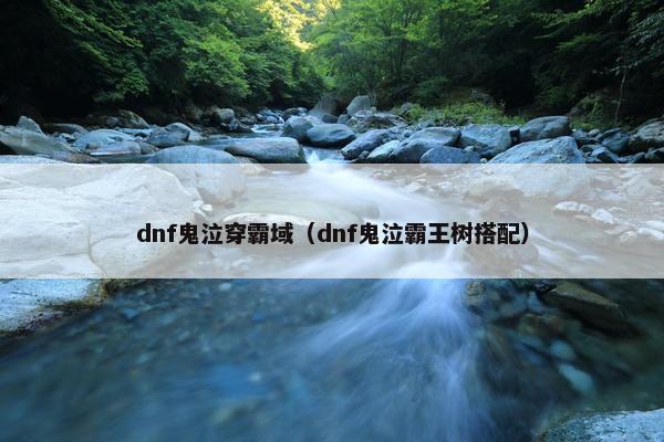 dnf鬼泣穿霸域（dnf鬼泣霸王树搭配）