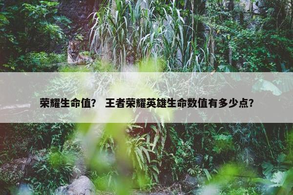 荣耀生命值？ 王者荣耀英雄生命数值有多少点？