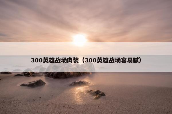 300英雄战场肉装（300英雄战场容易腻）
