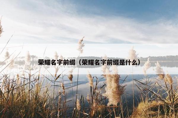 荣耀名字前缀（荣耀名字前缀是什么）