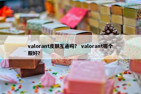 valorant皮肤互通吗？ valorant哪个服好？