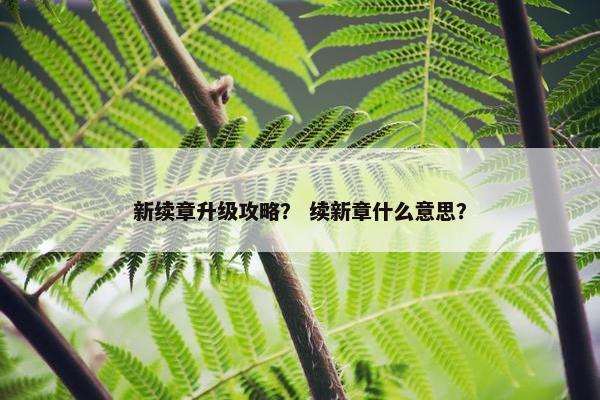 新续章升级攻略？ 续新章什么意思？