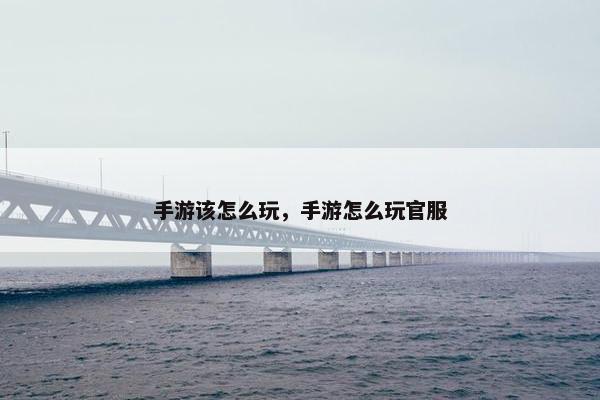 手游该怎么玩，手游怎么玩官服
