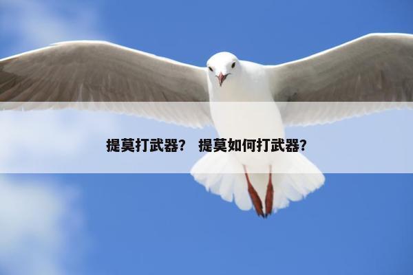 提莫打武器？ 提莫如何打武器？