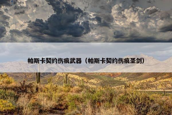 帕斯卡契约伤痕武器（帕斯卡契约伤痕圣剑）