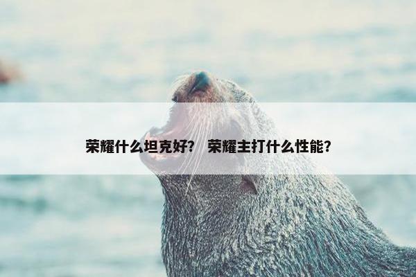 荣耀什么坦克好？ 荣耀主打什么性能？