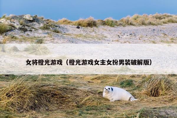 女将橙光游戏（橙光游戏女主女扮男装破解版）