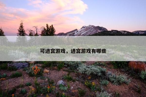 可进宫游戏，进宫游戏有哪些