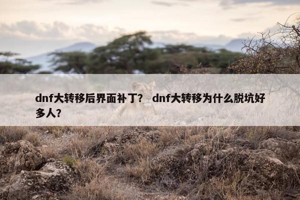 dnf大转移后界面补丁？ dnf大转移为什么脱坑好多人？
