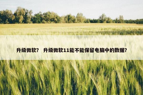 升级微软？ 升级微软11能不能保留电脑中的数据？