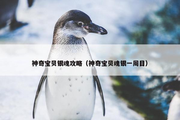 神奇宝贝银魂攻略（神奇宝贝魂银一周目）