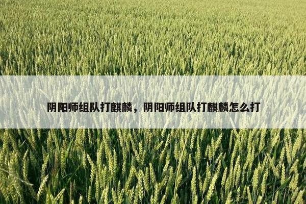 阴阳师组队打麒麟，阴阳师组队打麒麟怎么打