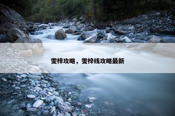雯梓攻略，雯梓线攻略最新