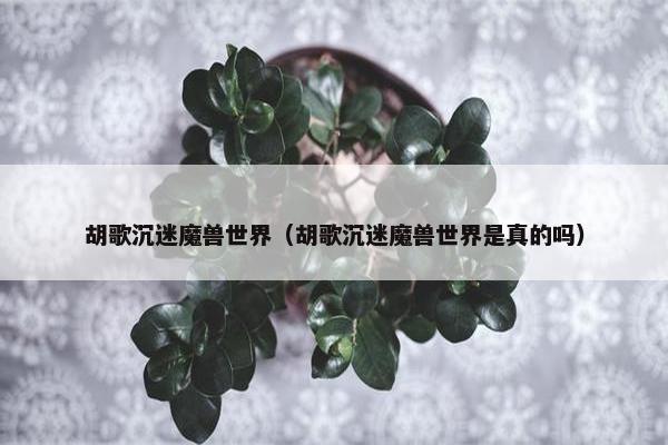 胡歌沉迷魔兽世界（胡歌沉迷魔兽世界是真的吗）